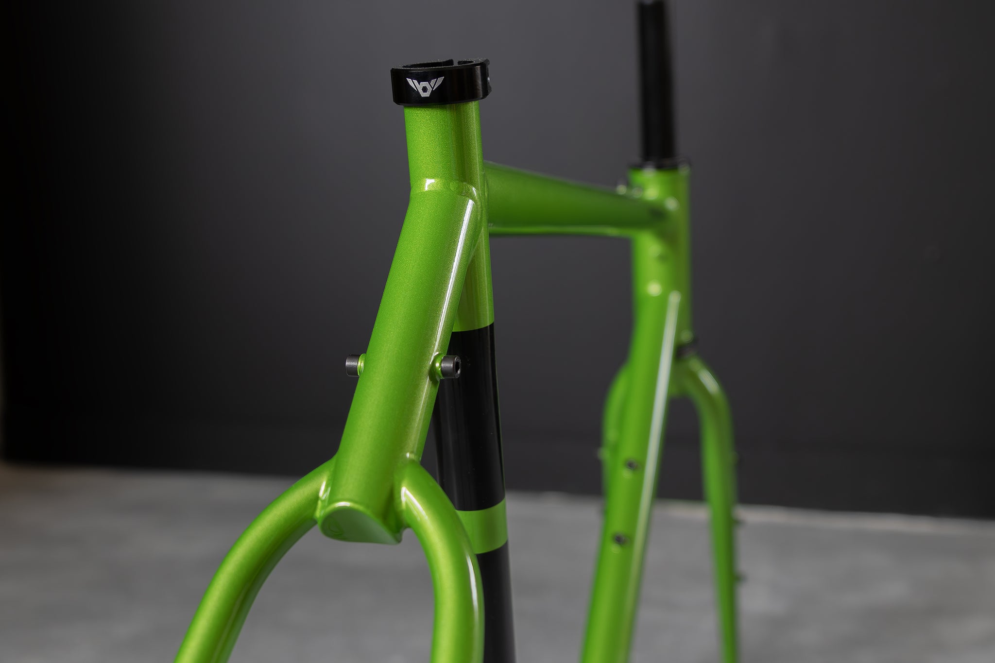 Standard Rando Frameset (GRASSHOPPER) – Twin Six