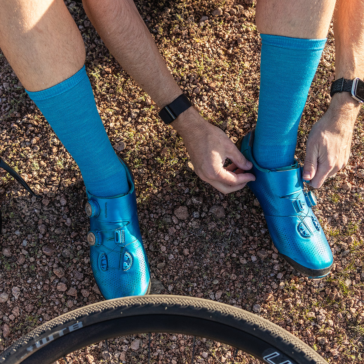 Standard Socks (Wool) (Cyan)